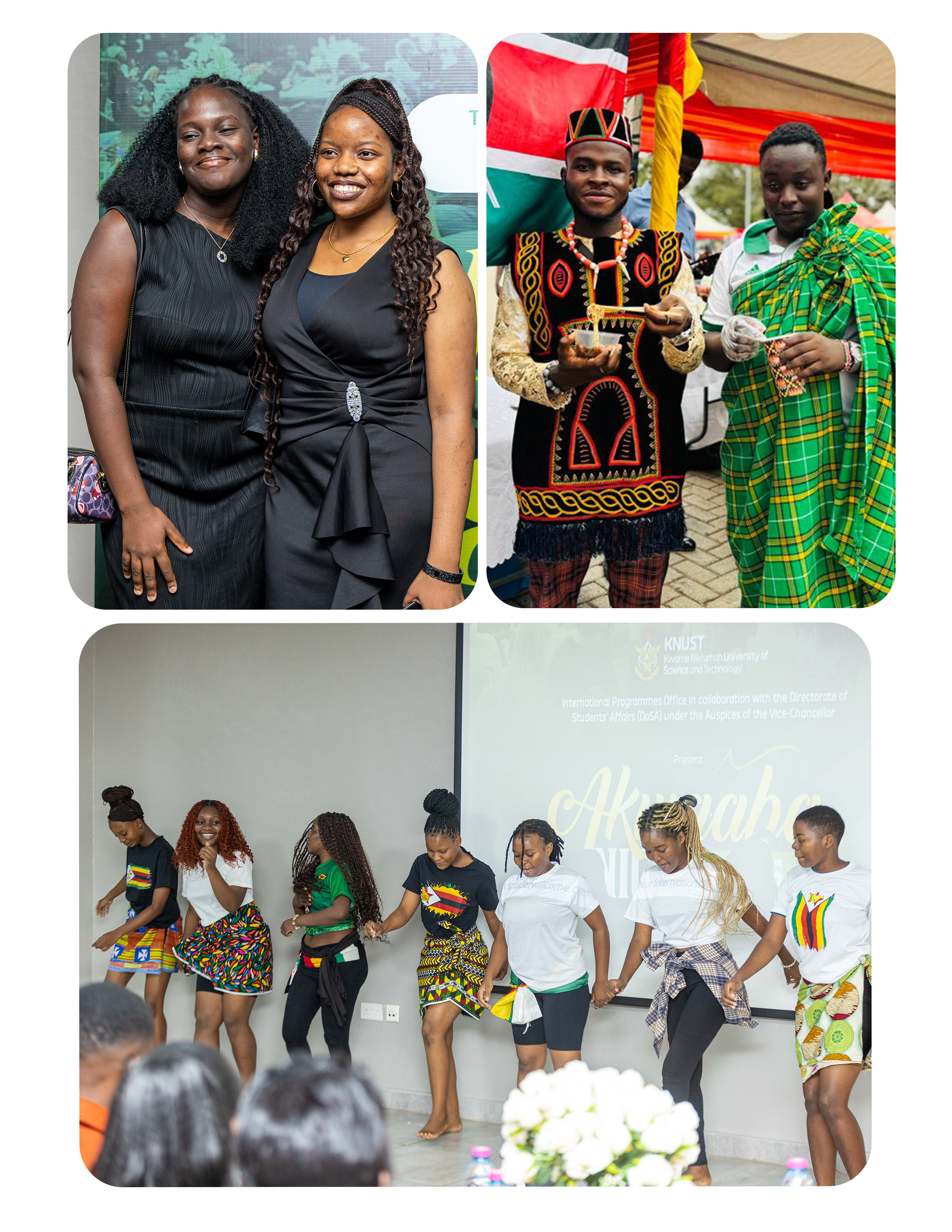 IPO-International-Students-collage-2